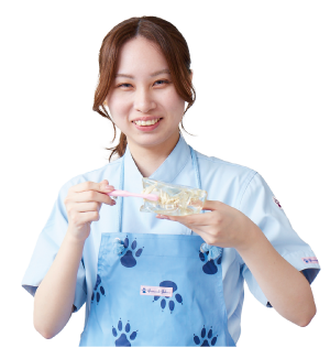 歯科