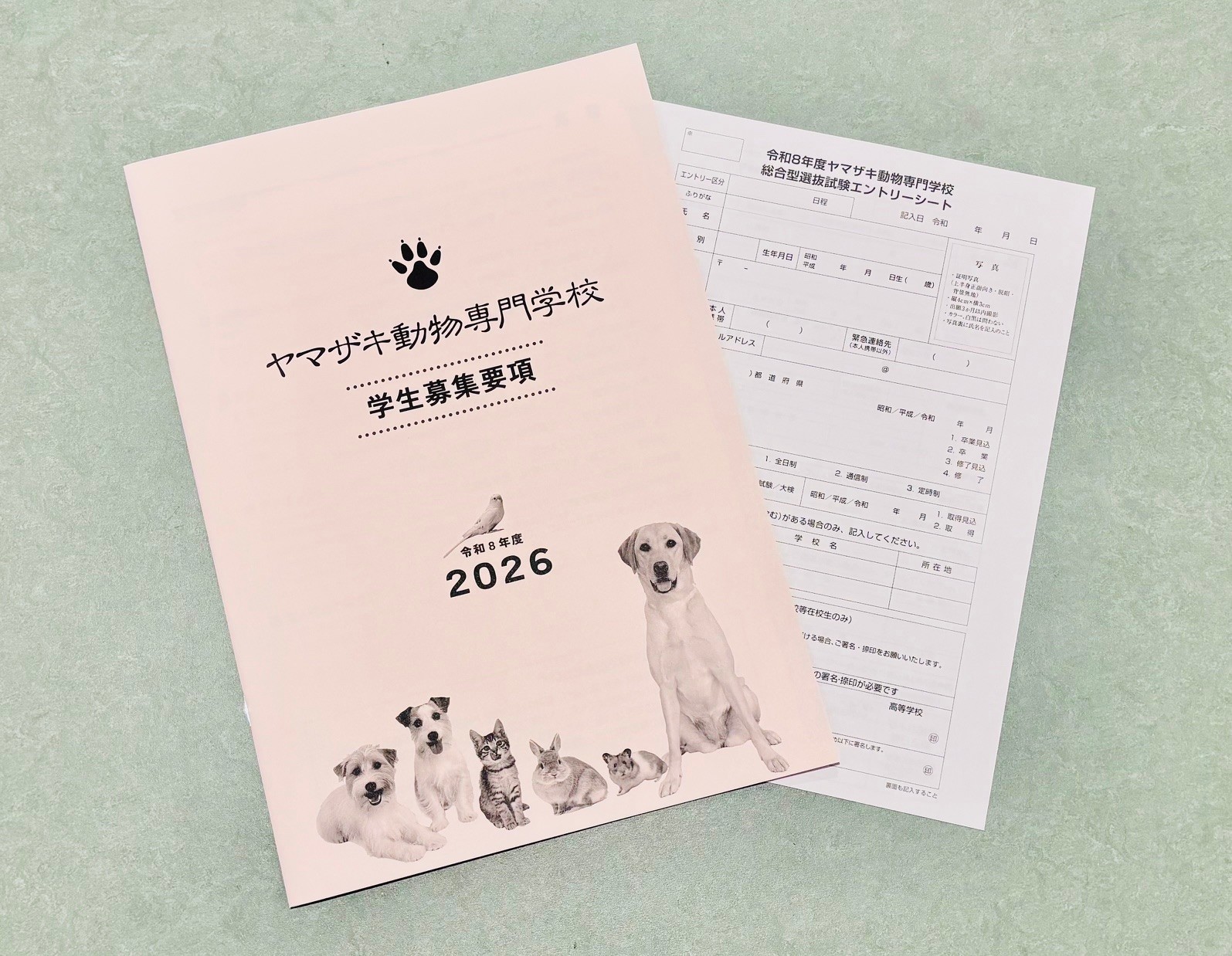 学生募集要項