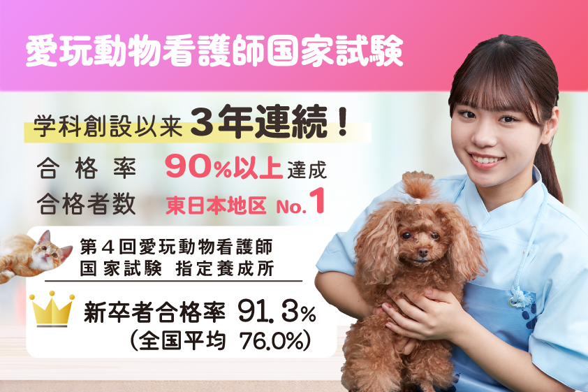 愛玩動物看護師