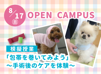 250817ocbn.jpg