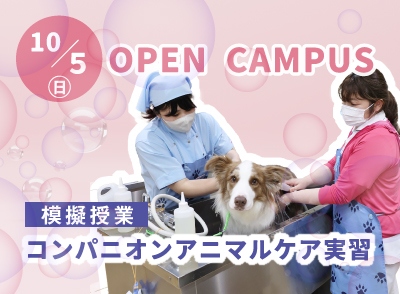 251005ocbn.jpg