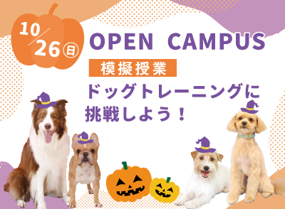 251026ocbn0.jpg