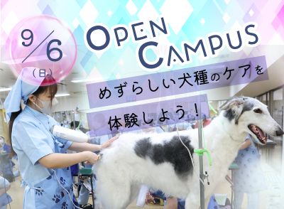 260906ocbn02.jpg