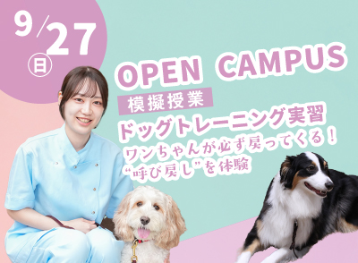 260927ocbn.jpg