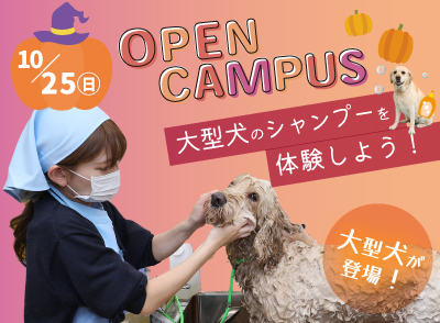 261025ocbn2.jpg