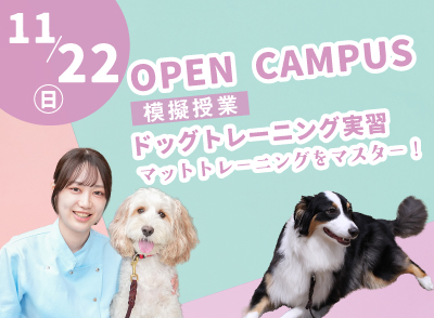 261122ocbn.jpg