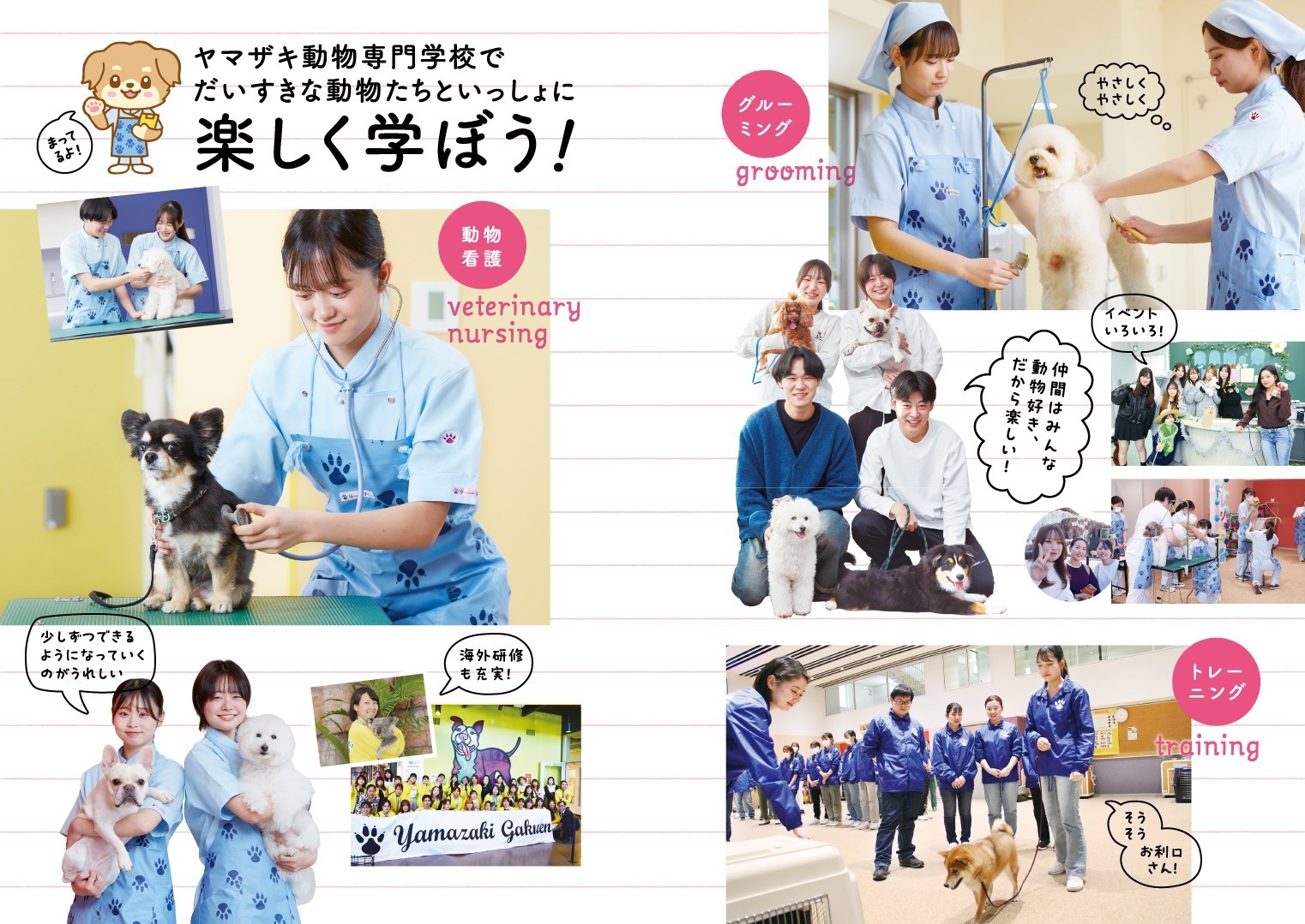 キャンパスライフ | ヤマザキ動物専門学校